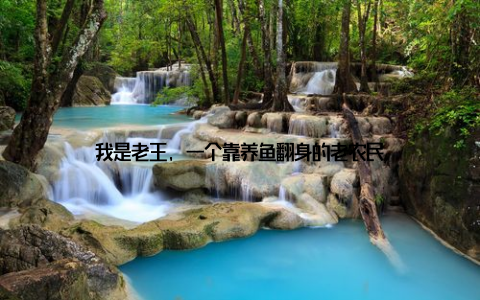 我是老王, 一个靠养鱼翻身的老农民