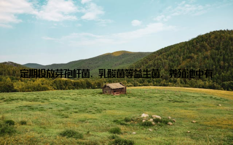 定期投放芽孢杆菌、乳酸菌等益生菌, 养殖池中有害菌群被有效抑制, 典型病害如腐皮病的发生率从15%降至3%以下