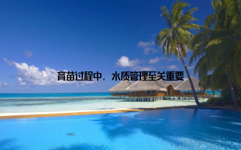 育苗过程中, 水质管理至关重要