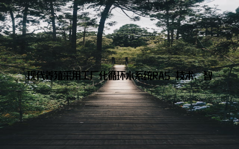 现代养殖采用工厂化循环水系统RAS 技术, 智能监测及过滤设备, 精准调控水温、溶解氧、氨氮等指标, 减少病害, 提高鱼苗存活率