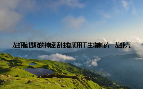 龙虾脑提取的神经活性物质用于生物制药, 龙虾壳制成的美容产品风靡亚洲市场, 就连以往被丢弃的龙虾卵也被开发成高端调味品