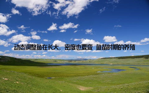动态调整鱼在长大, 密度也要变 鱼苗时期的养殖密度可以较高如每亩10万尾, 但随着鱼长大, 必须逐步分塘或出售, 否则空间紧张会抑制生长