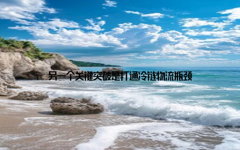 另一个关键突破是打通冷链物流瓶颈
