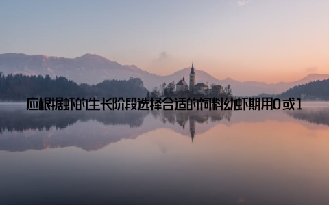 应根据虾的生长阶段选择合适的饲料幼虾期用0或1高蛋白微颗粒饲料40-45%蛋白; 中虾期用2颗粒料38-40%蛋白; 成虾期用3料35-38%蛋白