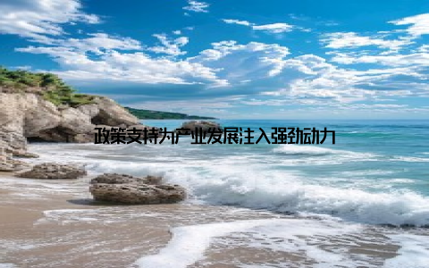政策支持为产业发展注入强劲动力