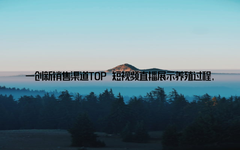 一创新销售渠道TOP 短视频直播展示养殖过程, 建立信任感; 社区团购直接对接终端消费者, 利润翻倍; 认养模式消费者预付定金, 养成后按需交付