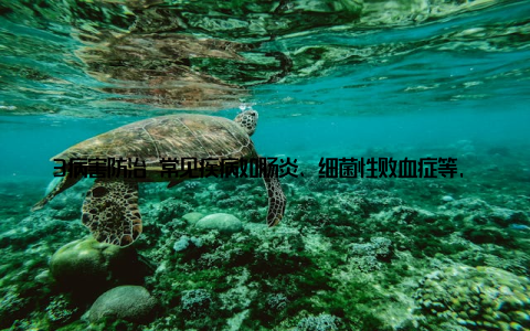 3病害防治 常见疾病如肠炎、细菌性败血症等, 可以下措施预防 – 定期消毒每月用生石灰或漂白粉全池泼洒